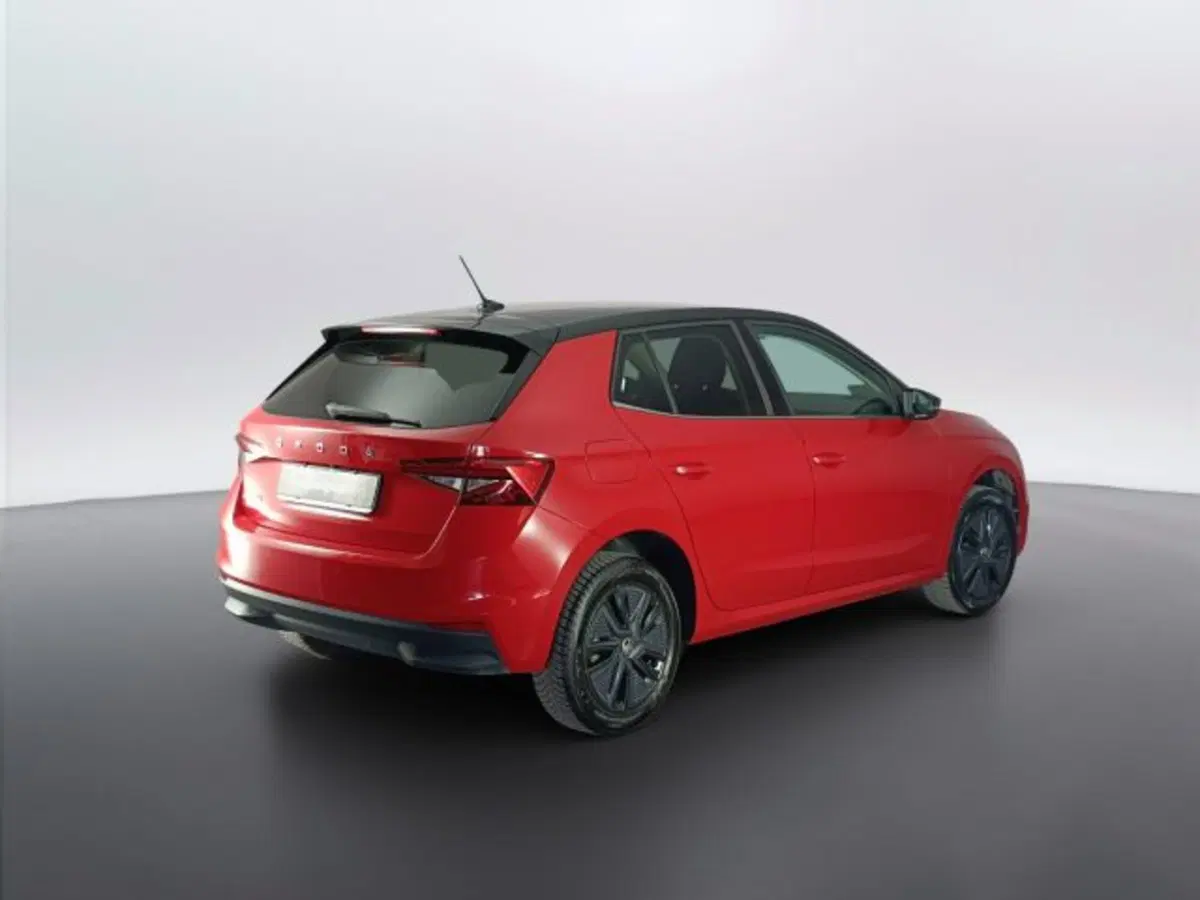 Skoda Fabia usata a Teramo (5)