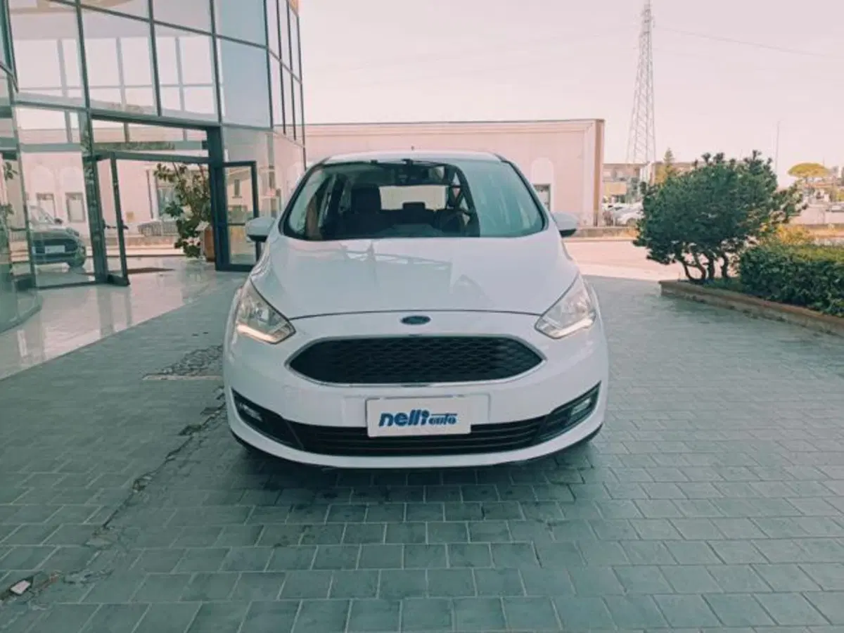 Ford C-Max usata a Pisa (12)