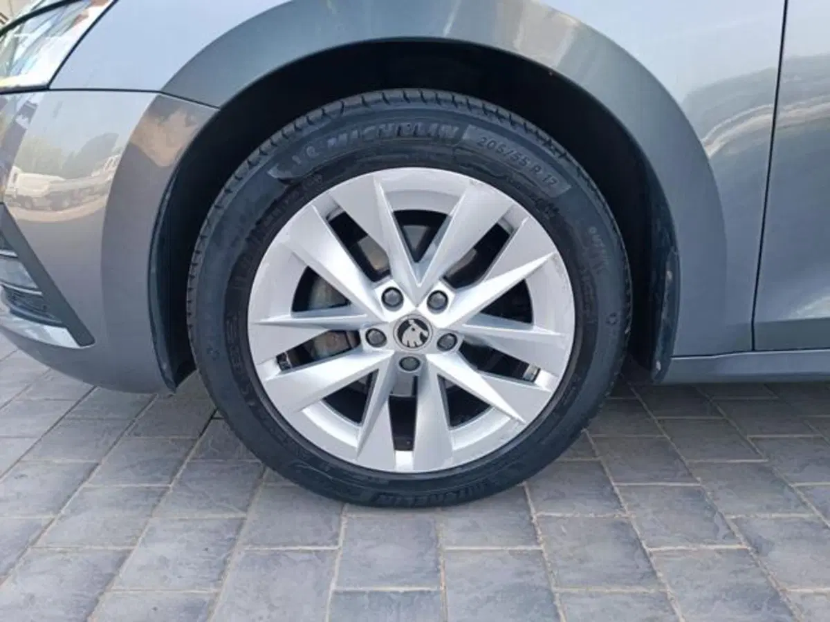 Skoda Octavia Station Wagon usata a Pisa (10)