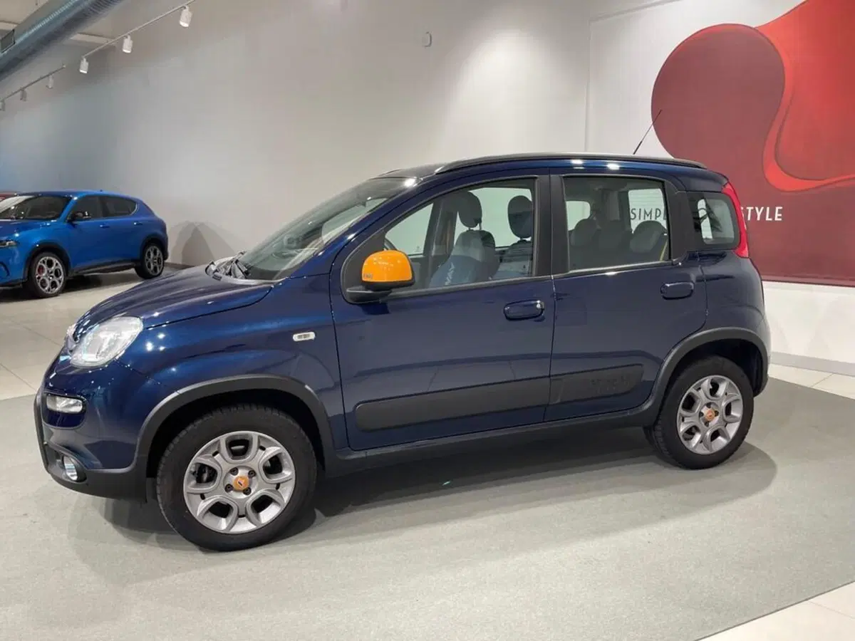 Fiat Panda usata a Sondrio (2)