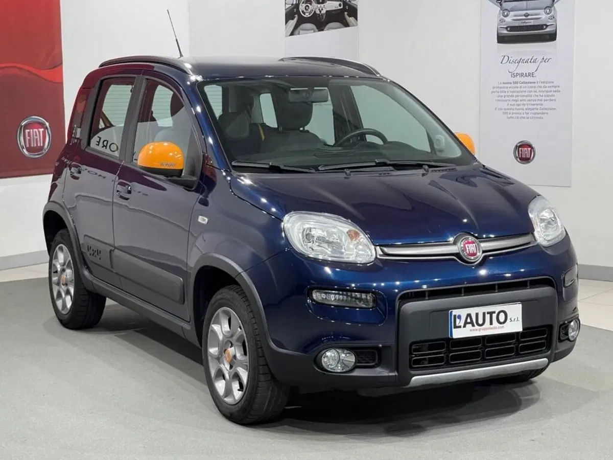 Fiat Panda usata a Sondrio (7)