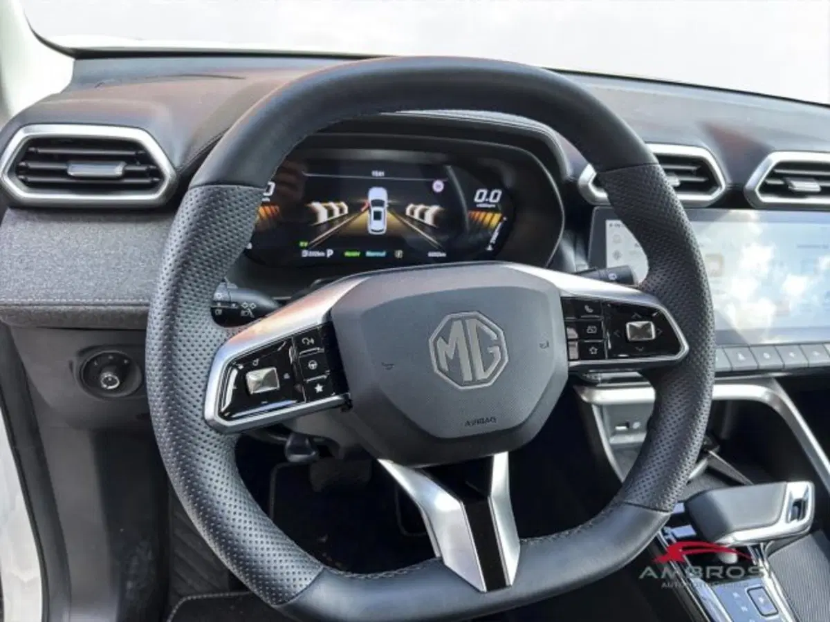 Mg ZS usata a Perugia (14)