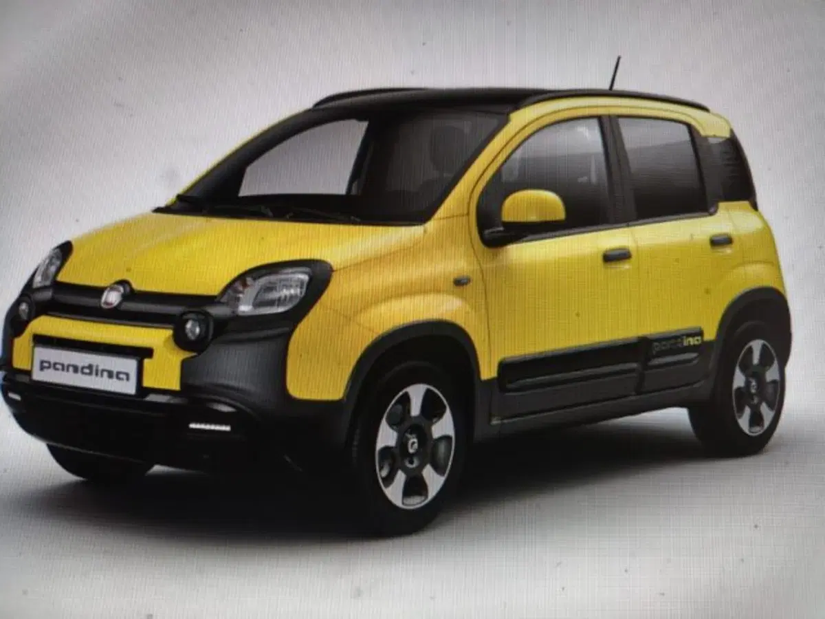 Fiat Panda Cross nuova a Forlì-Cesena