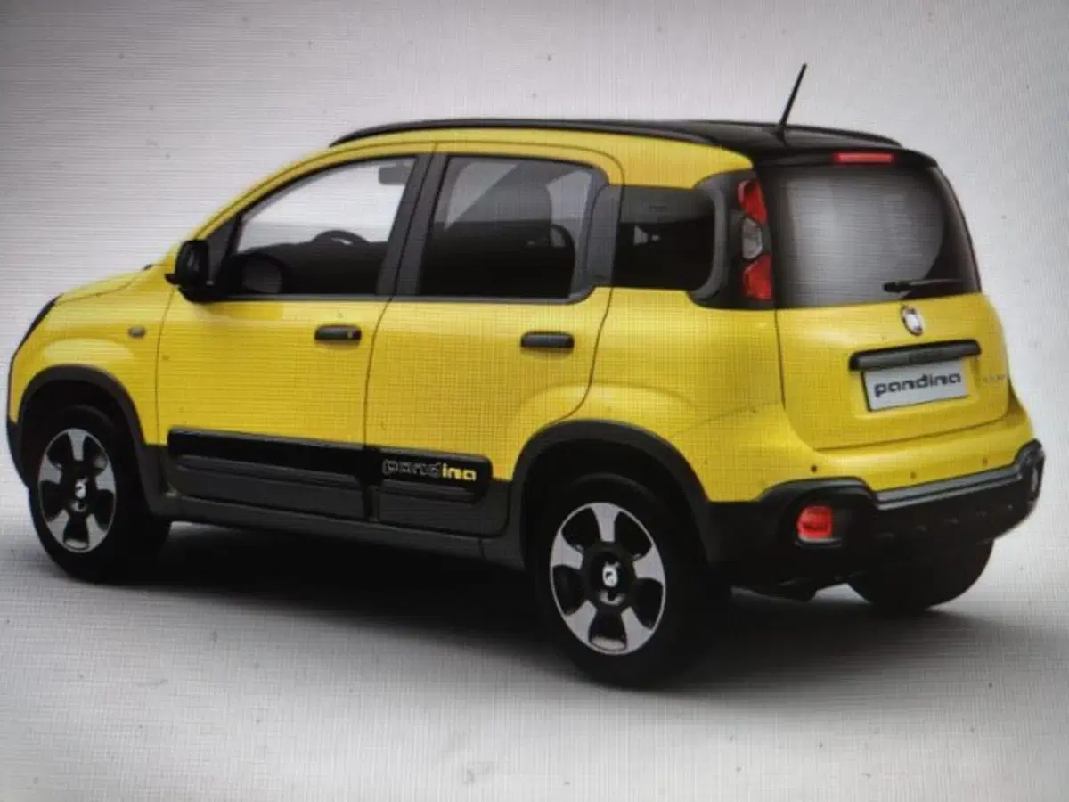 Fiat Panda Cross nuova a Forlì-Cesena (2)