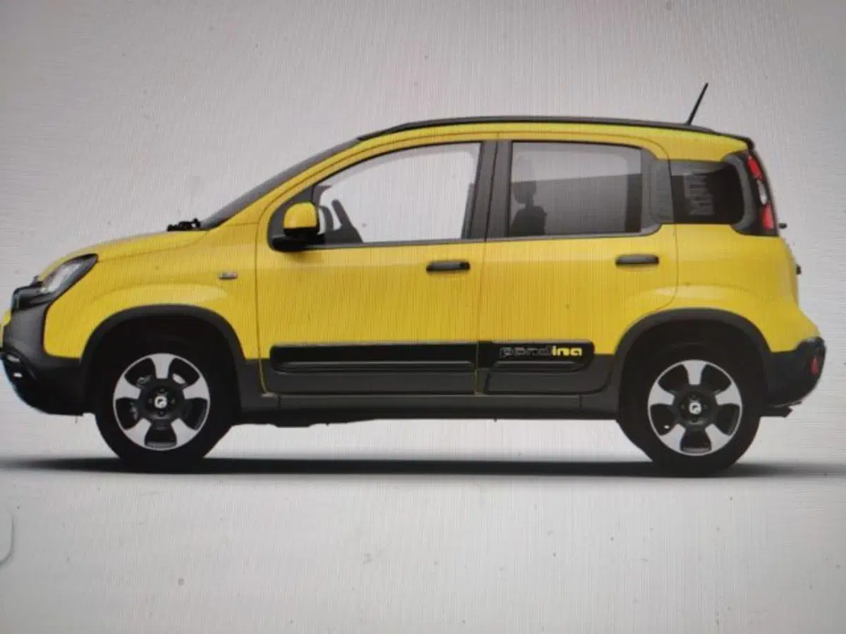 Fiat Panda Cross nuova a Forlì-Cesena (3)