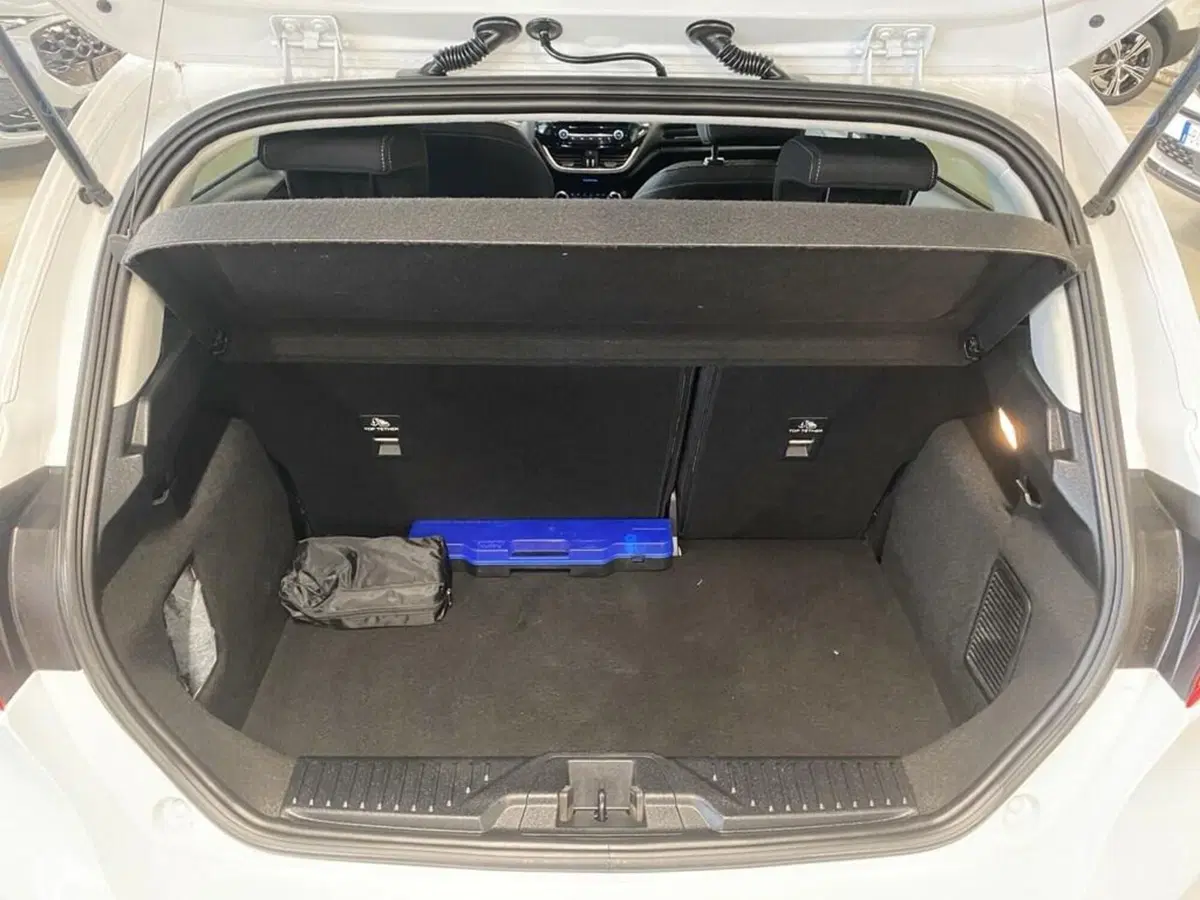 Ford Fiesta usata a Torino (9)