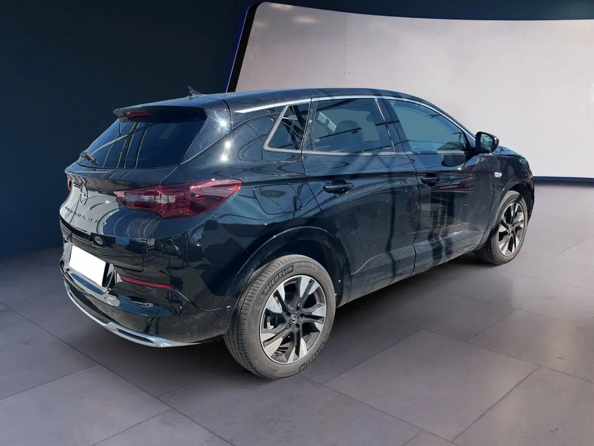 Opel Grandland usata a Torino (10)