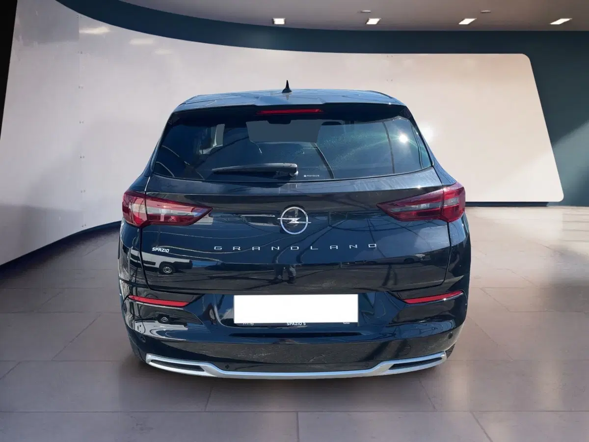 Opel Grandland usata a Torino (11)
