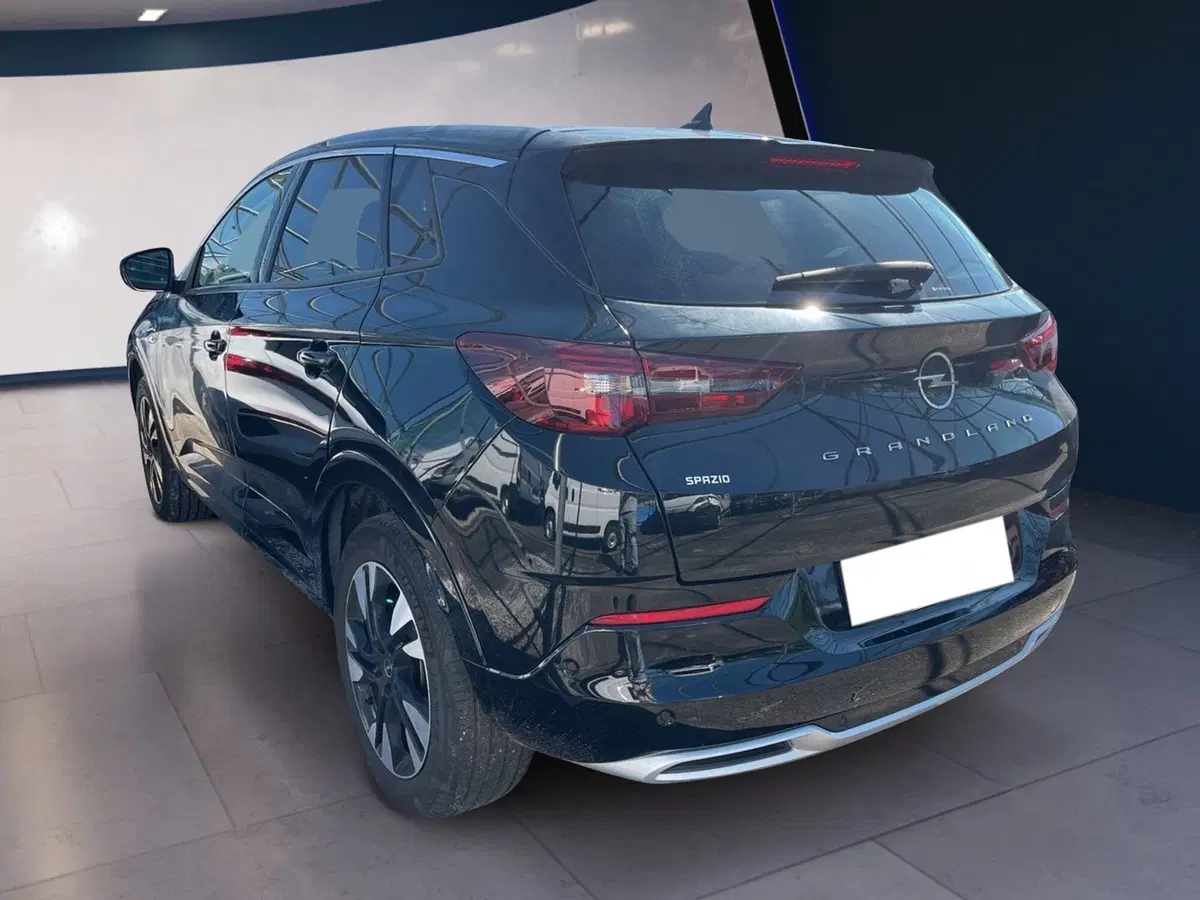 Opel Grandland usata a Torino (12)
