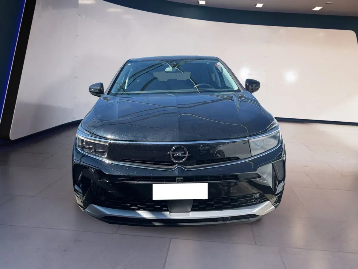 Opel Grandland usata a Torino (8)