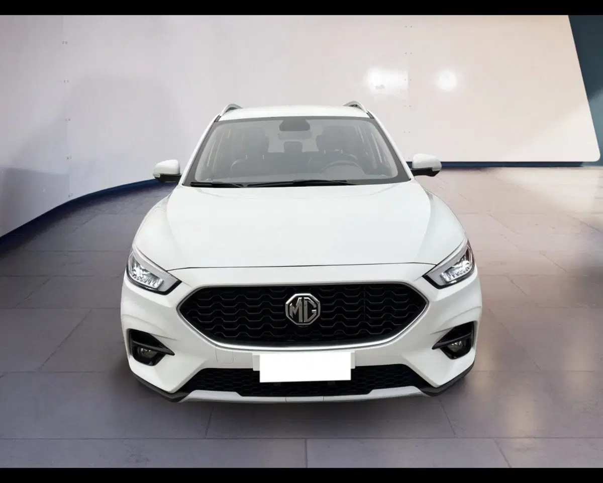 Mg ZS usata a Torino
