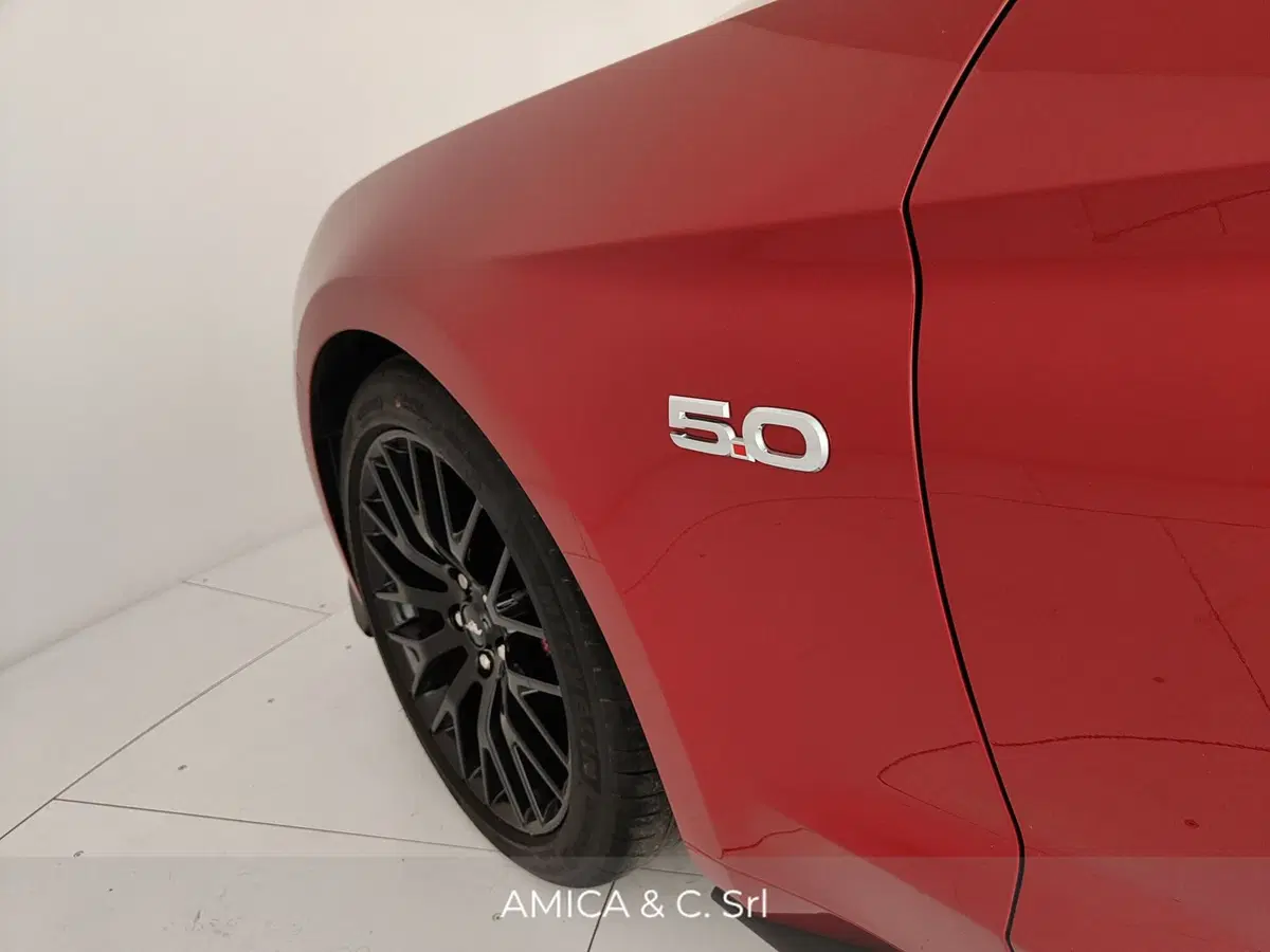 Ford Mustang Coupé usata a Caserta (13)