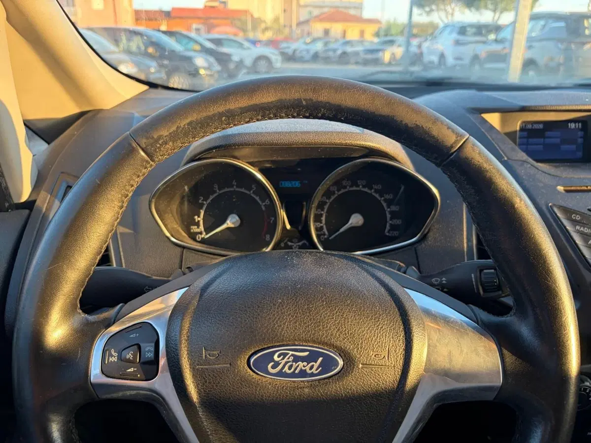 Ford EcoSport usata a La Spezia (11)