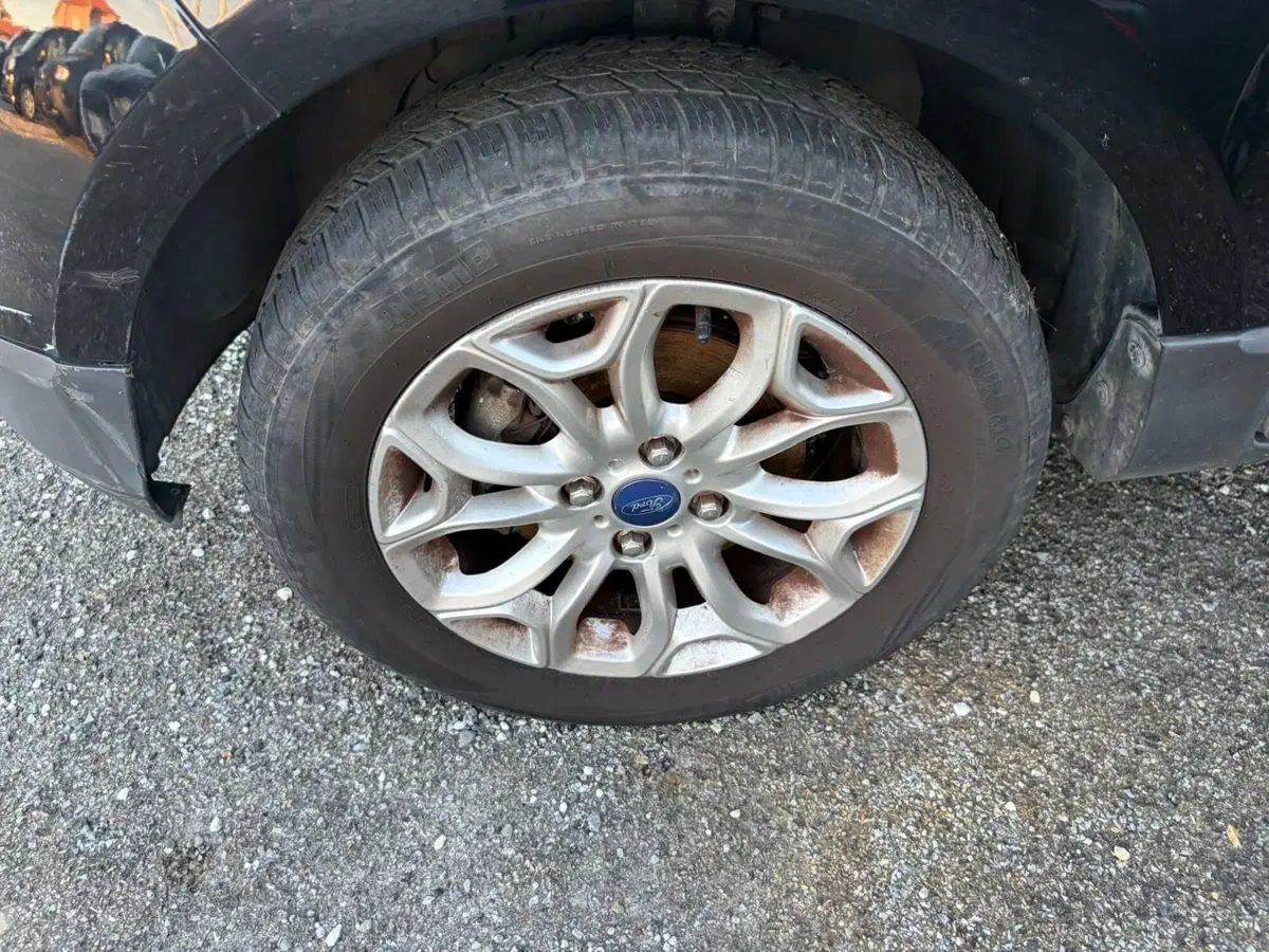 Ford EcoSport usata a La Spezia (7)
