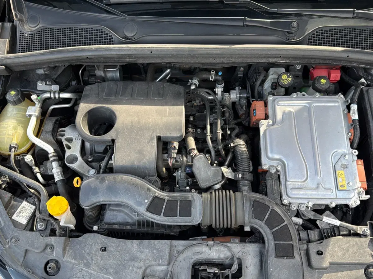 Renault Clio usata a Mantova (13)