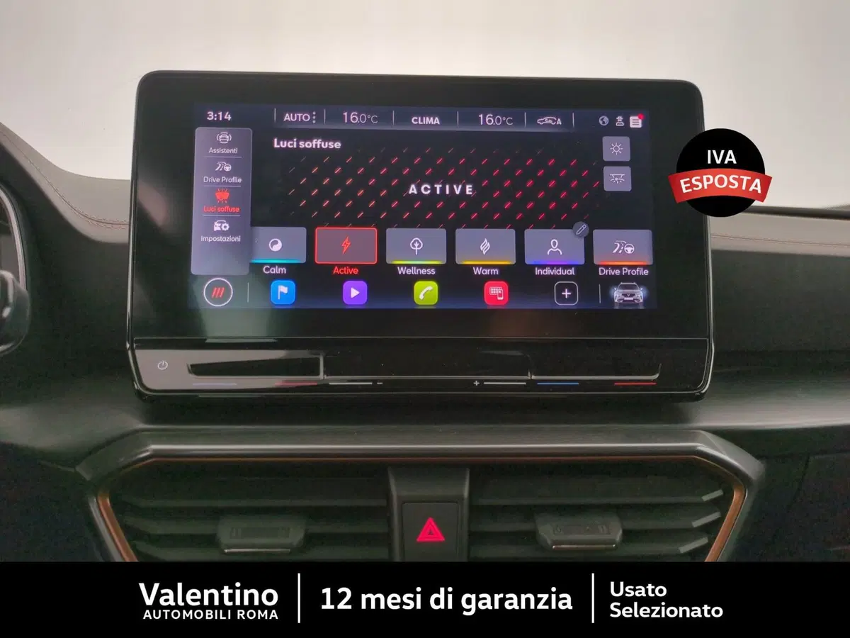 Cupra Formentor usata a Roma (16)