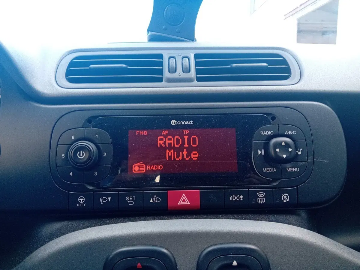 Fiat Panda usata a Pordenone (16)