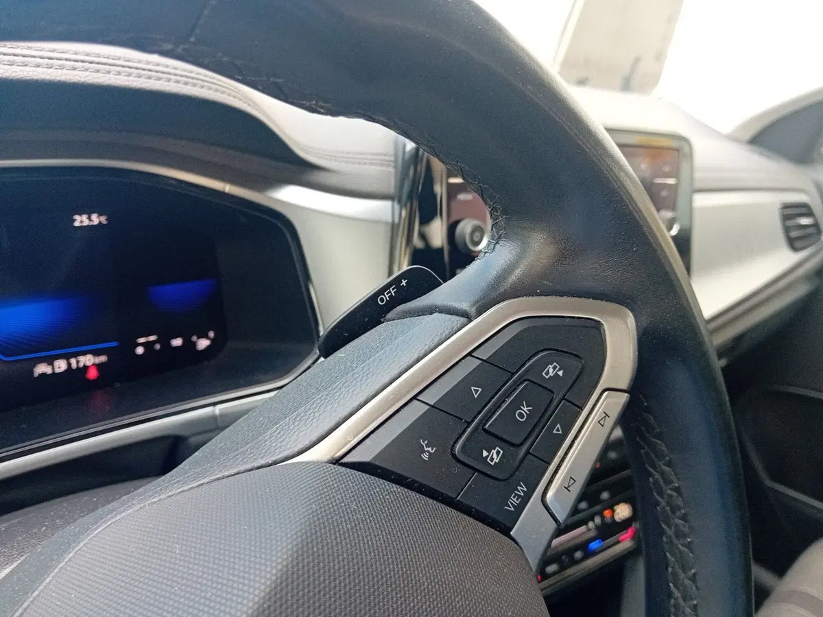 Volkswagen T-Roc usata a Pordenone (20)