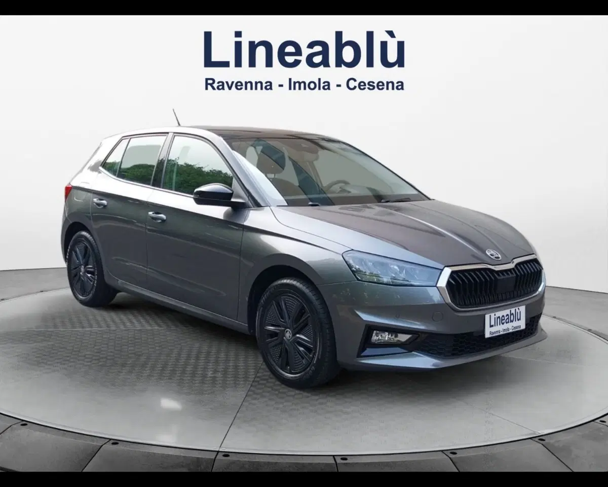 Skoda Fabia usata a Ravenna (7)