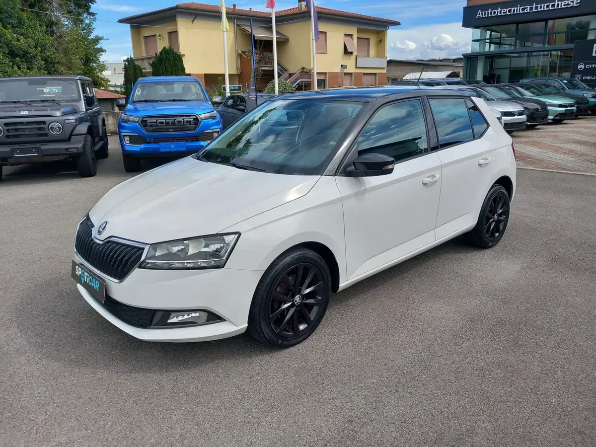 Skoda Fabia usata a Lucca