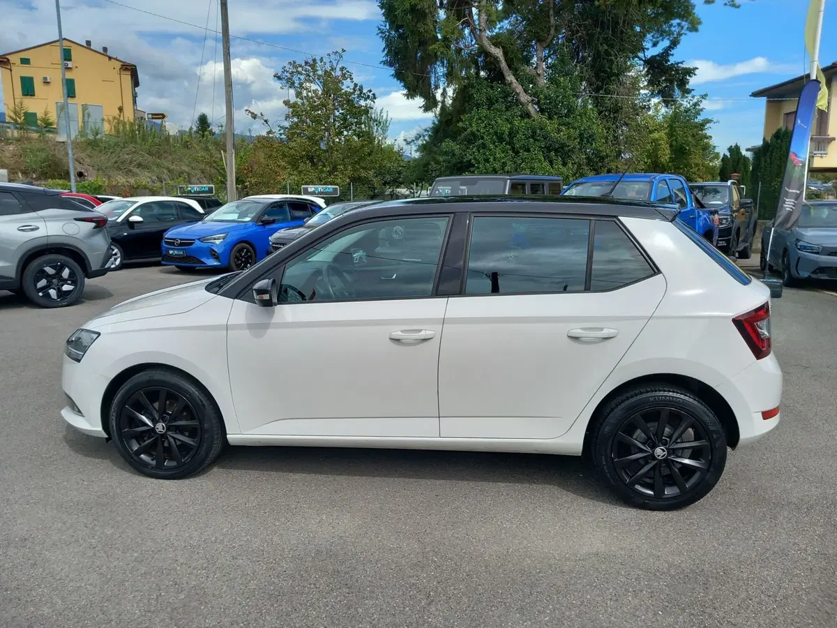Skoda Fabia usata a Lucca (2)
