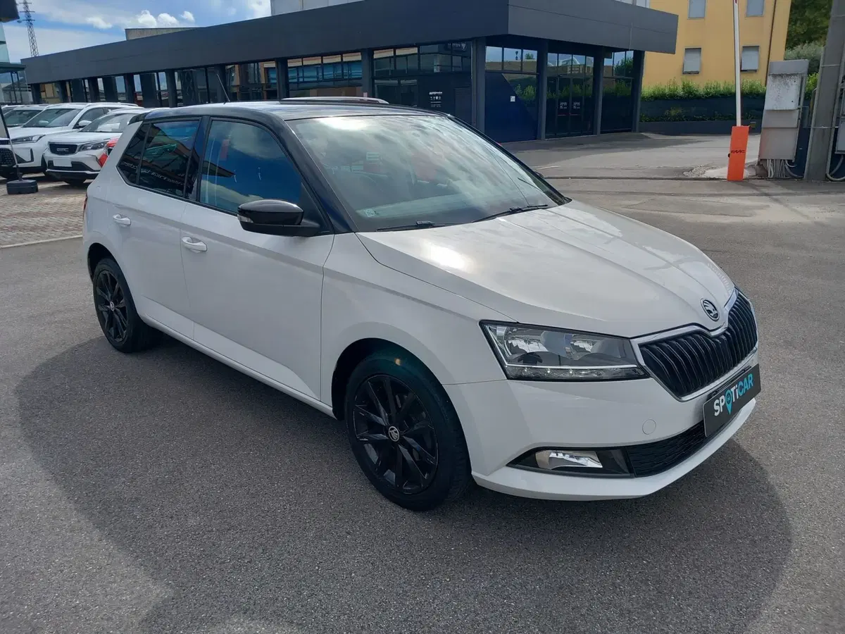 Skoda Fabia usata a Lucca (8)