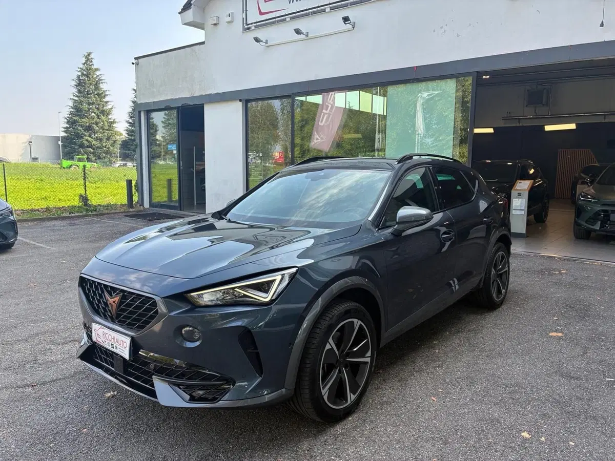 Cupra Formentor usata a Monza e Brianza (2)