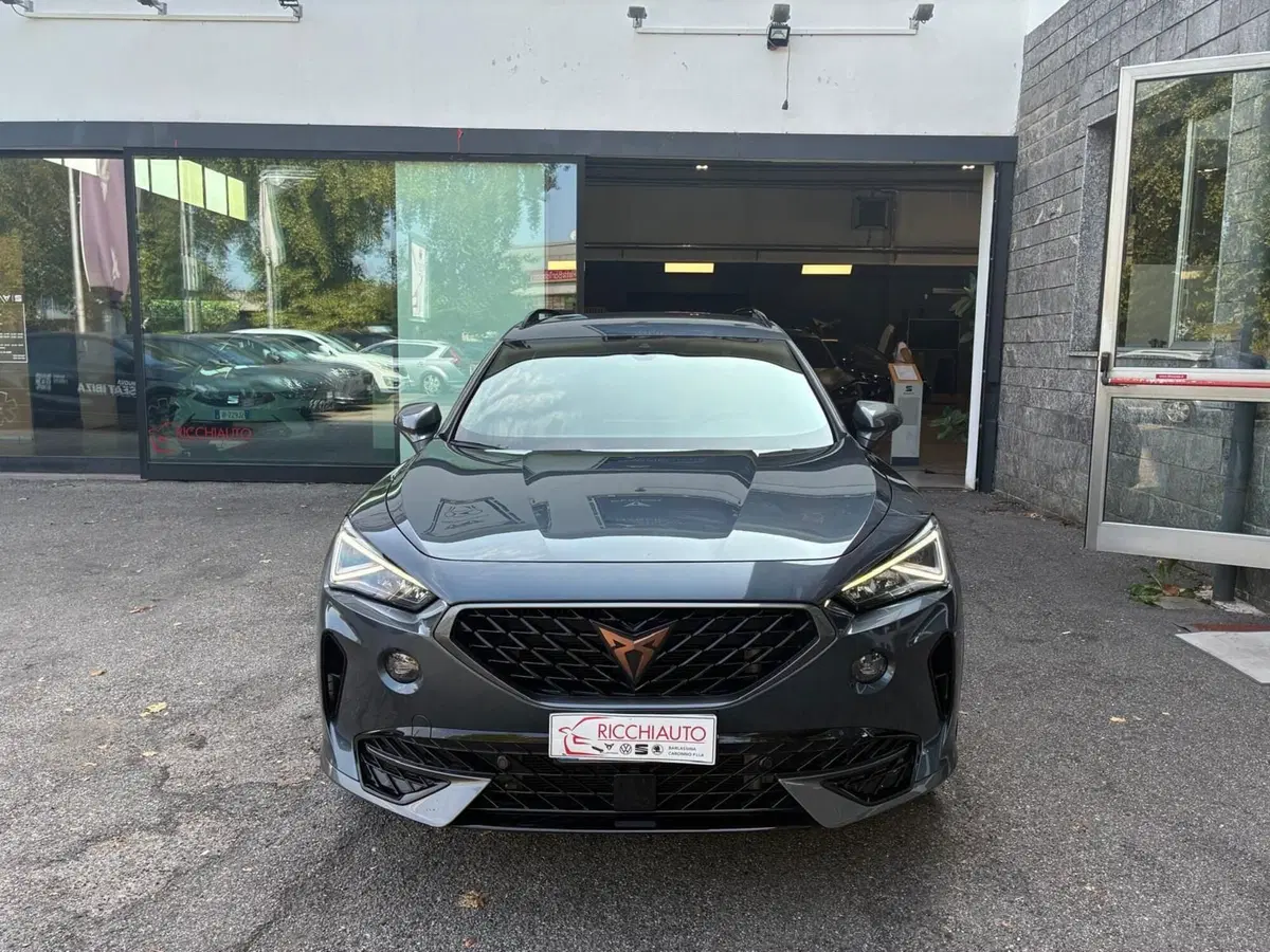 Cupra Formentor usata a Monza e Brianza (6)