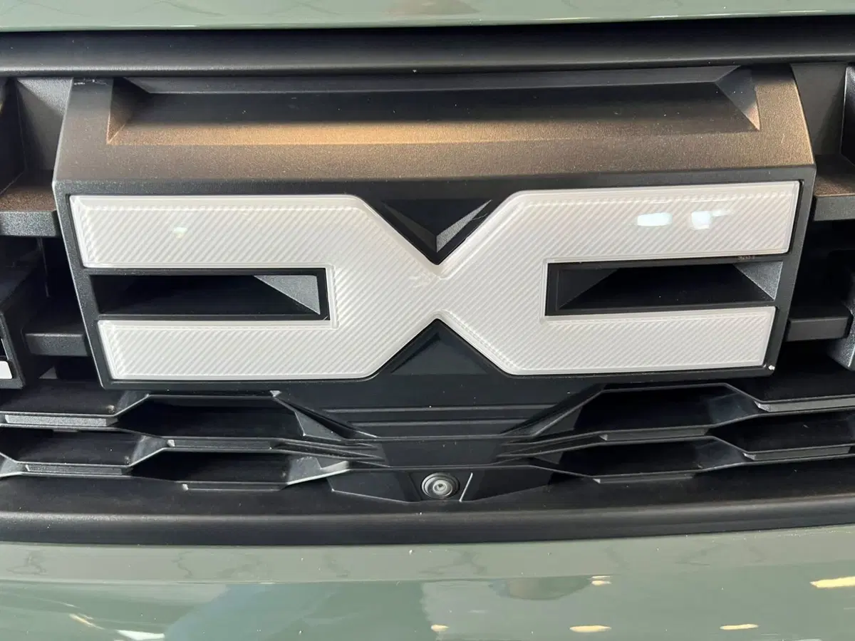 Dacia Duster usata a Torino (5)