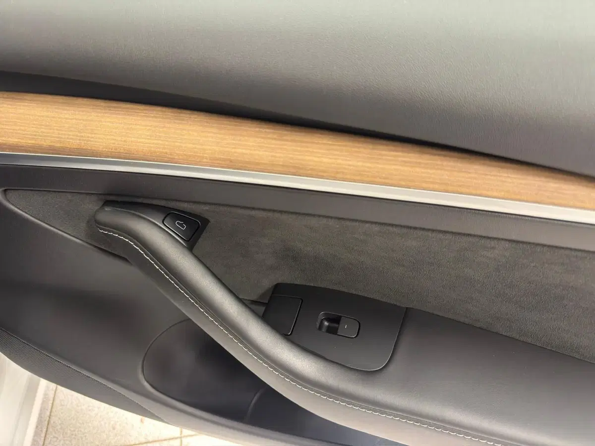 Tesla Model 3 usata a Verbano Cusio Ossola (12)