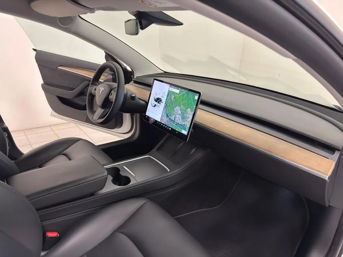 Tesla Model 3 usata a Verbano Cusio Ossola (14)