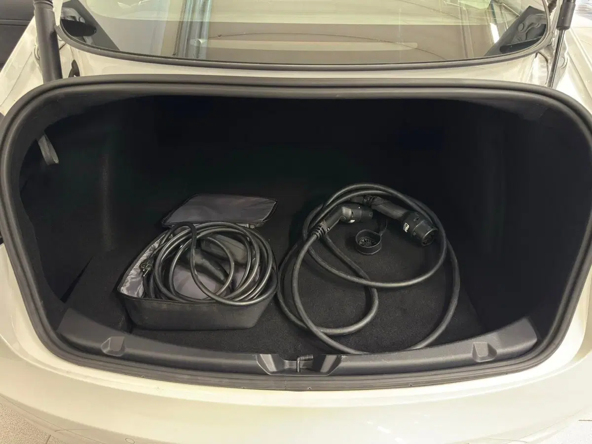 Tesla Model 3 usata a Verbano Cusio Ossola (15)