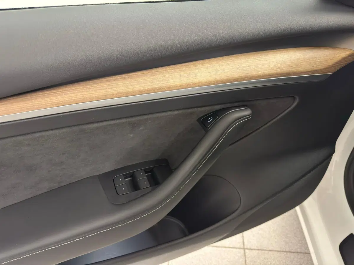 Tesla Model 3 usata a Verbano Cusio Ossola (17)