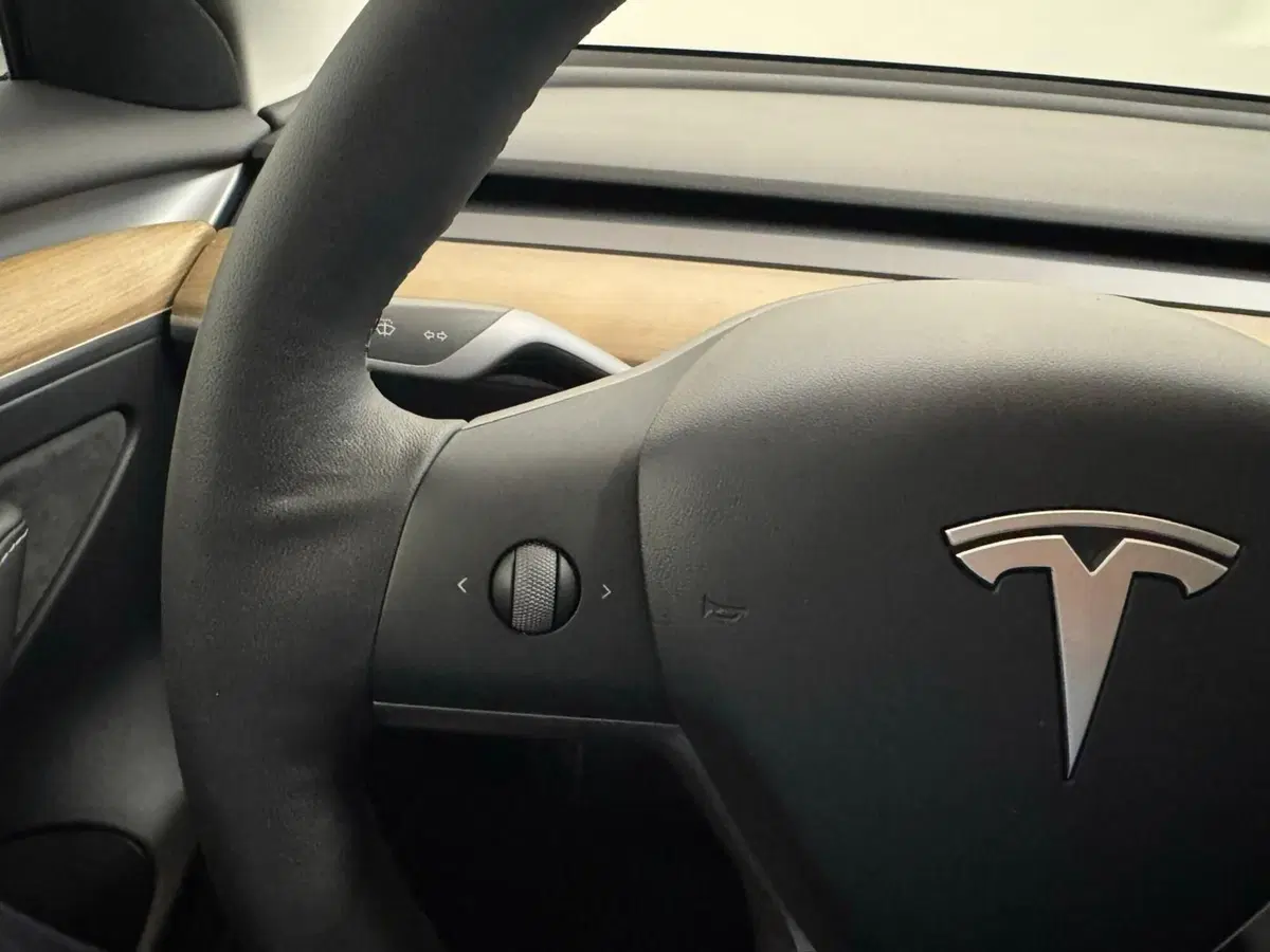 Tesla Model 3 usata a Verbano Cusio Ossola (20)