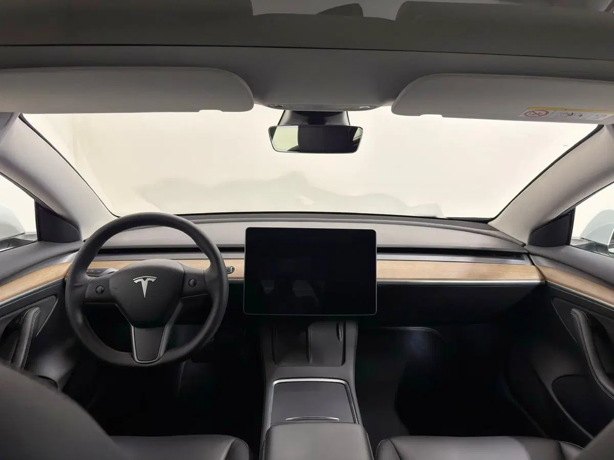 Tesla Model 3 usata a Verbano Cusio Ossola (4)