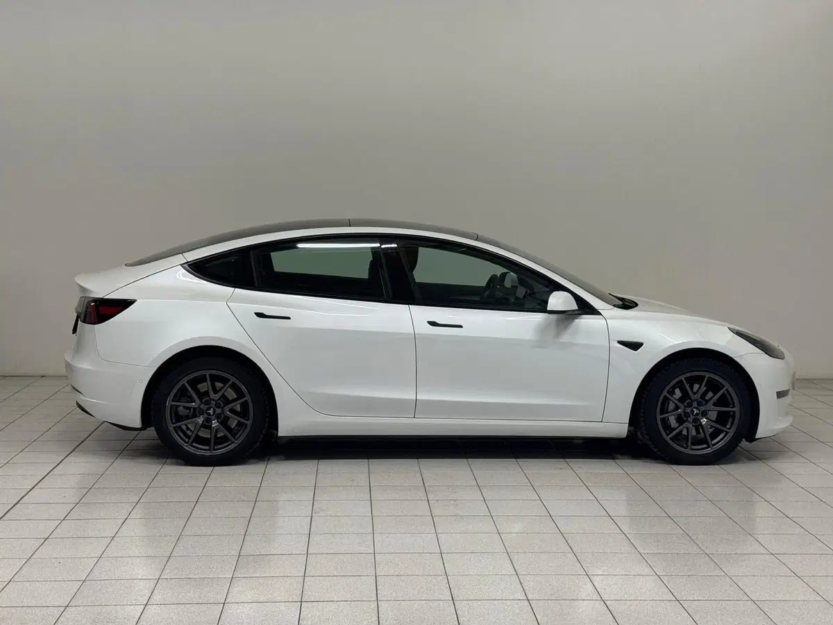 Tesla Model 3 usata a Verbano Cusio Ossola (6)