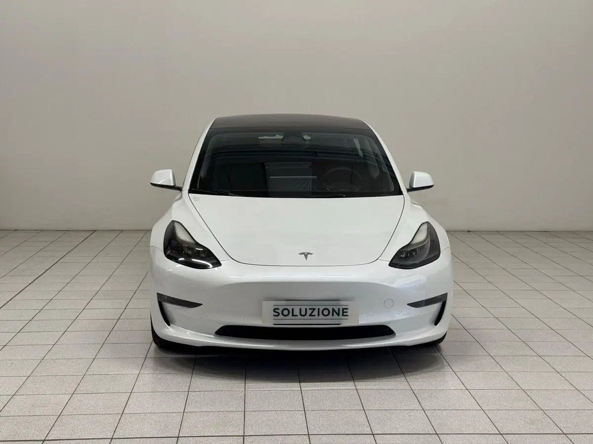 Tesla Model 3 usata a Verbano Cusio Ossola (8)