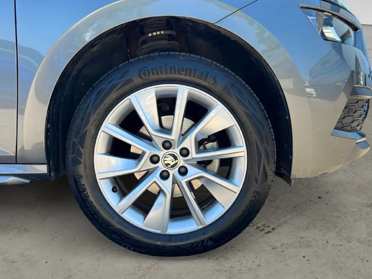 Skoda Kamiq usata a Grosseto (9)