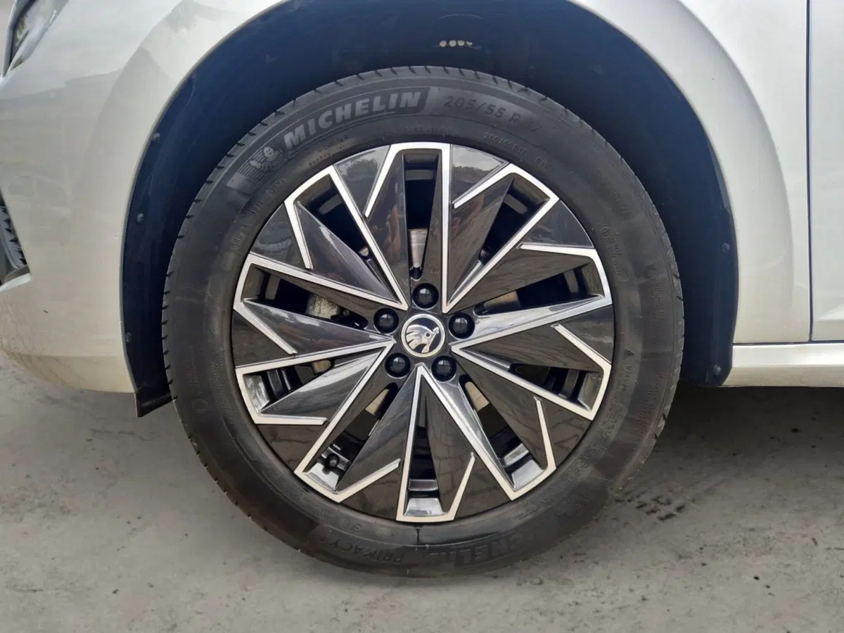 Skoda Kamiq usata a Siena (9)