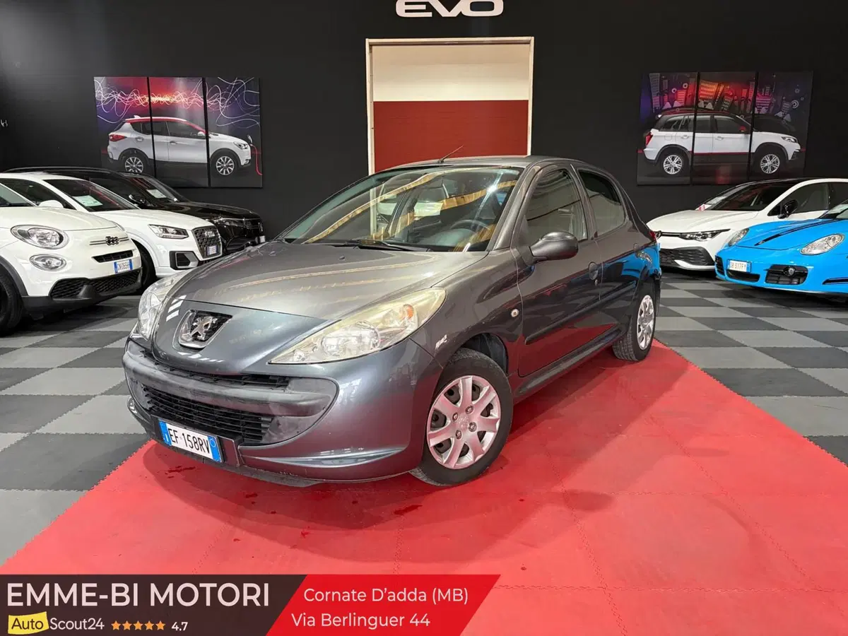 Peugeot 206 usata a Monza e Brianza