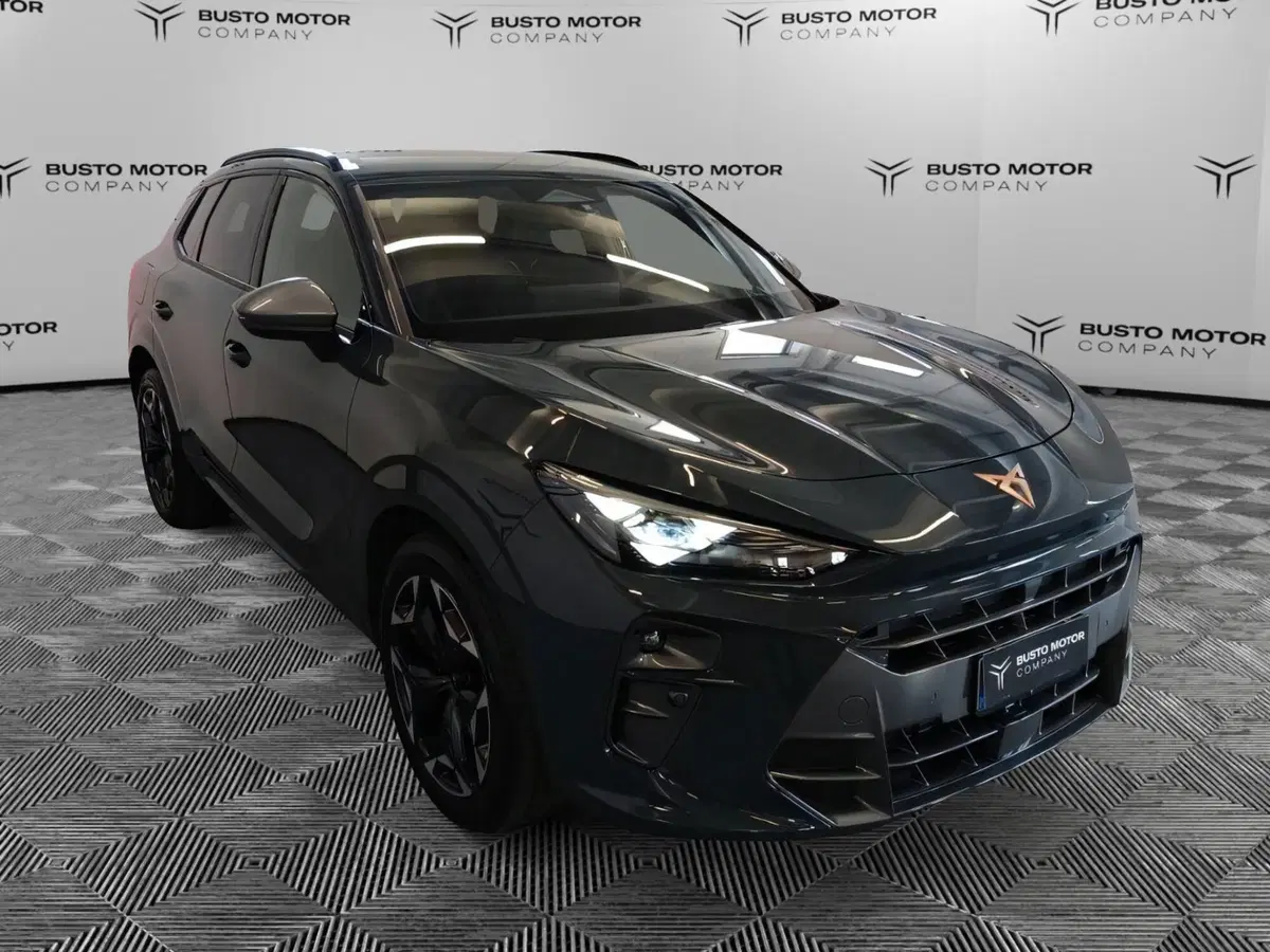 Cupra Terramar usata a Varese