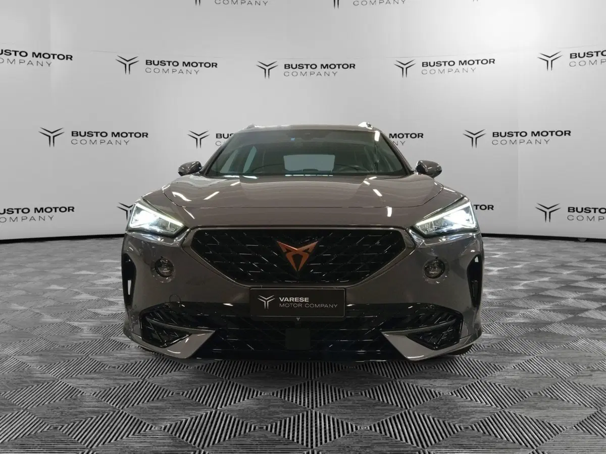 Cupra Formentor usata a Varese (2)