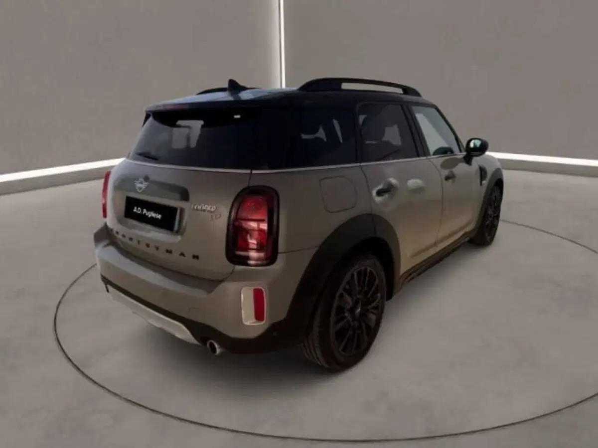 MINI Mini Countryman usata a Caltanissetta (4)