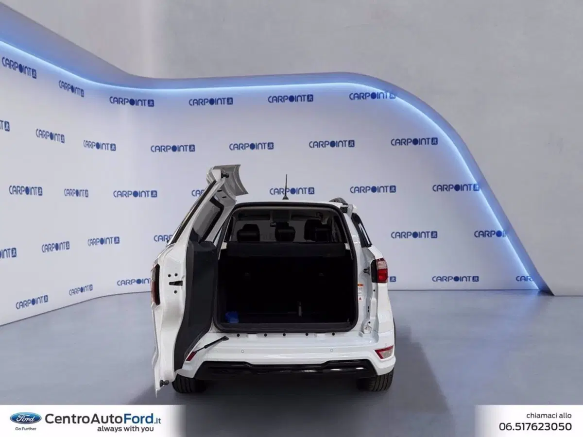 Ford EcoSport usata a Roma (17)