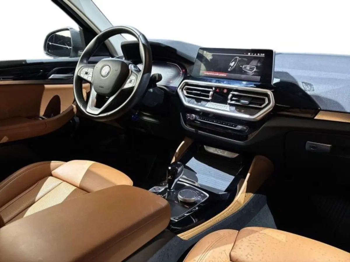 BMW X4 usata a Bologna (15)