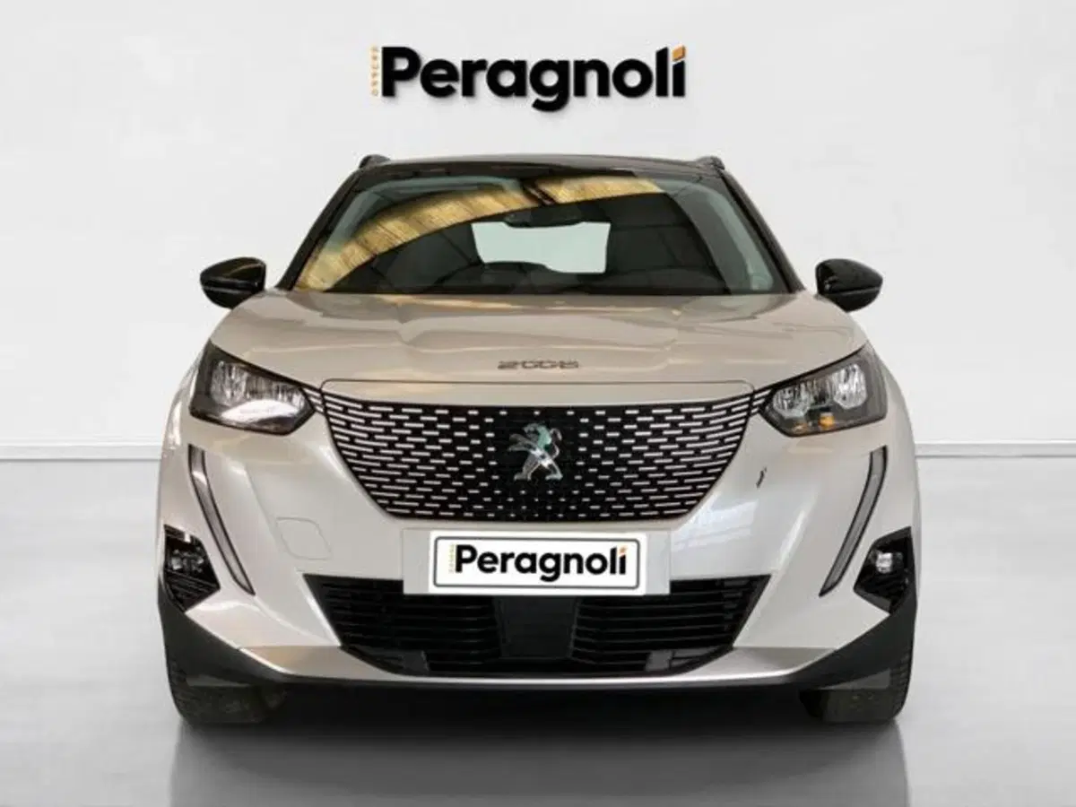 Peugeot 2008 usata a Firenze (2)