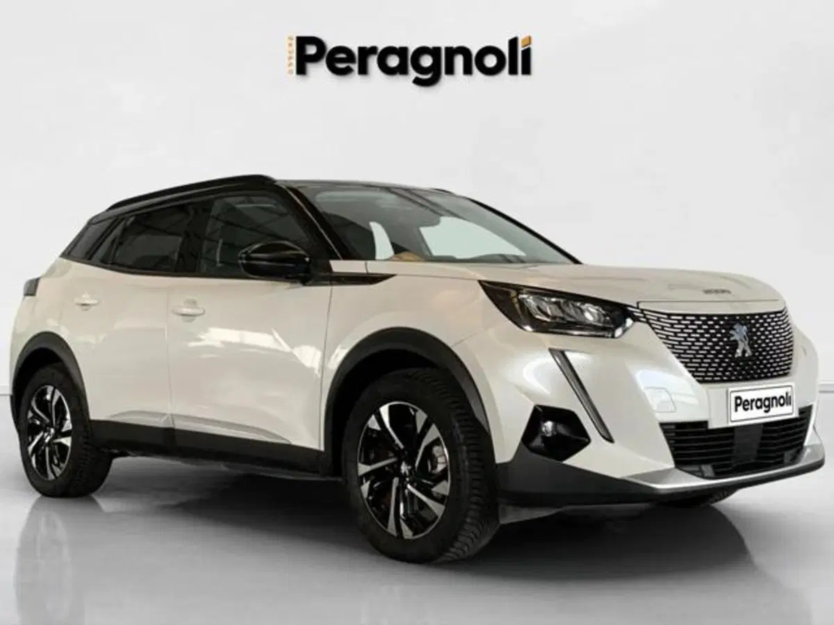 Peugeot 2008 usata a Firenze (3)