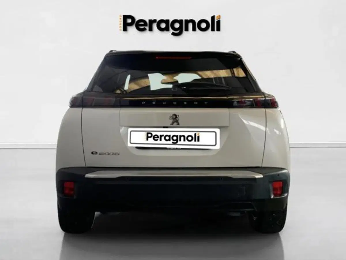 Peugeot 2008 usata a Firenze (4)