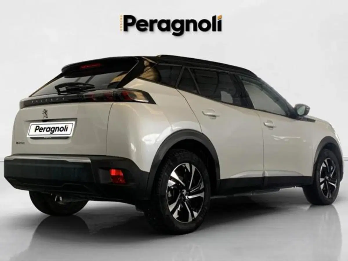 Peugeot 2008 usata a Firenze (5)