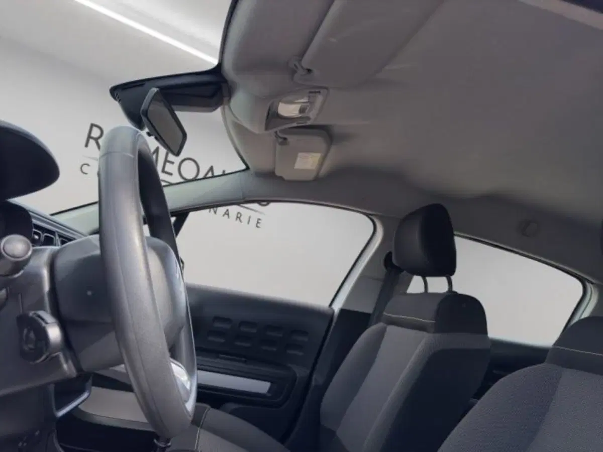 Citroen C3 usata a Perugia (19)